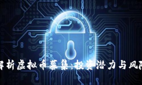 全面解析虚拟币募集：投资潜力与风险管理
