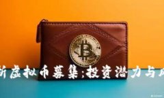 全面解析虚拟币募集：投资潜力与风险管理