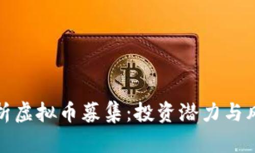 全面解析虚拟币募集：投资潜力与风险管理