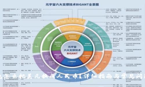 TP钱包怎么把美元换成人民币？详细指南与常见问题解答