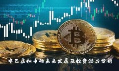 中巴虚拟币的未来发展及投资潜力分析