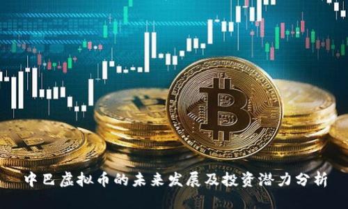 中巴虚拟币的未来发展及投资潜力分析