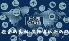 虚拟币投资的真相：陷阱与机会的双面分析