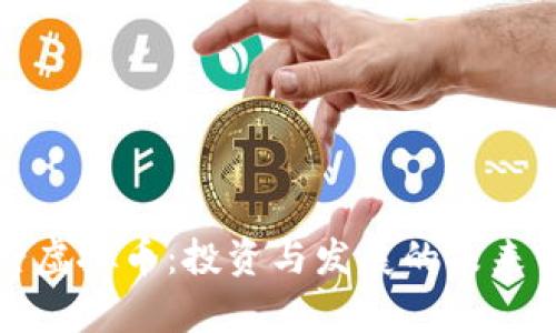 诸暨虚拟币：投资与发展的未来前景