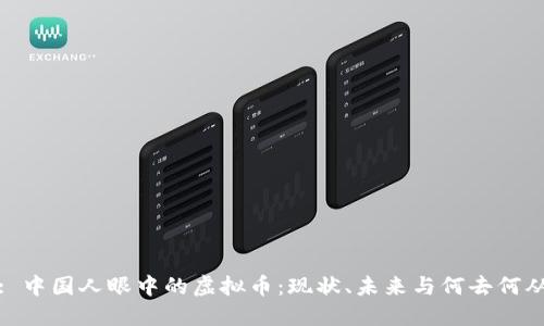 : 中国人眼中的虚拟币：现状、未来与何去何从