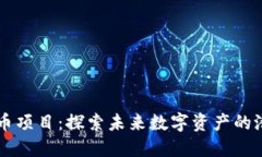 内测虚拟币项目：探索未来数字资产的潜力与挑