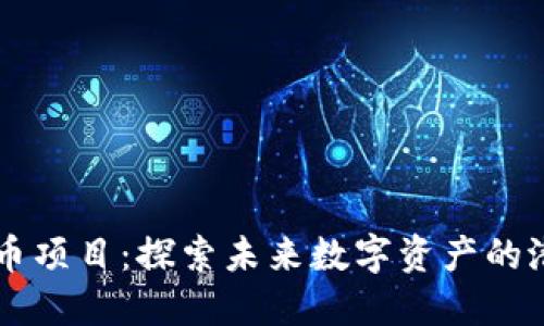 内测虚拟币项目：探索未来数字资产的潜力与挑战