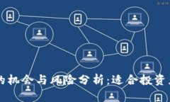 虚拟币理财的机会与风险分析：适合投资者的全