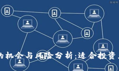 虚拟币理财的机会与风险分析：适合投资者的全面指南