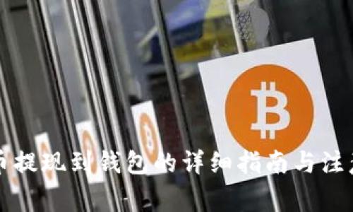 虚拟币提现到钱包的详细指南与注意事项
