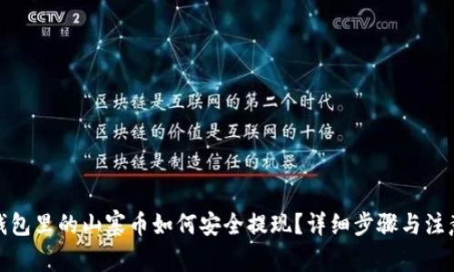 : TP钱包里的山寨币如何安全提现？详细步骤与注意事项