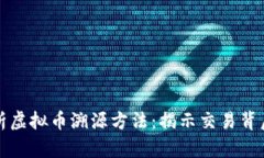 全面解析虚拟币溯源方法：揭示交易背后的秘密