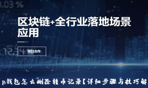   
t p钱包怎么删除转币记录？详细步骤与技巧解析