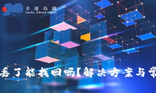 TP钱包的币丢了能找回吗？解决方案与常见问题解析