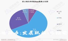 深入解析虚拟迪拜币：发展现状、市场前景及投