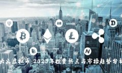 大火虚拟币：2023年投资热点与市场趋势分析