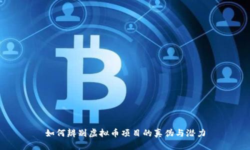如何辨别虚拟币项目的真伪与潜力