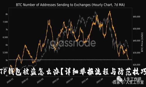 TP钱包被盗怎么办？详细举报流程与防范技巧