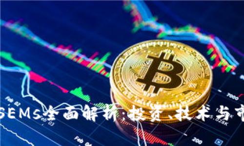 虚拟币SEMs全面解析：投资、技术与市场趋势