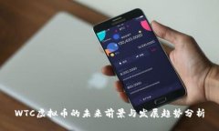 WTC虚拟币的未来前景与发展趋势分析