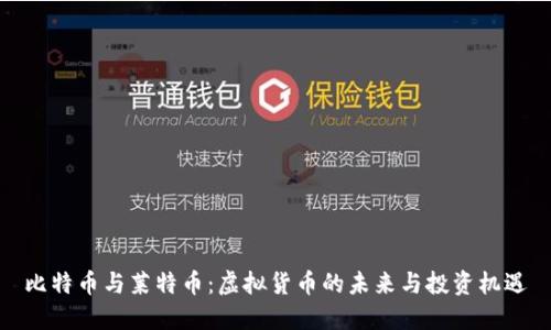 比特币与莱特币：虚拟货币的未来与投资机遇