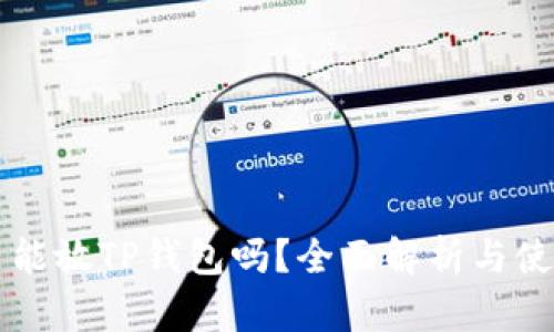 狗狗币能放TP钱包吗？全面解析与使用指南