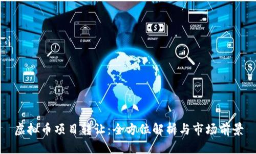 虚拟币项目转让：全方位解析与市场前景