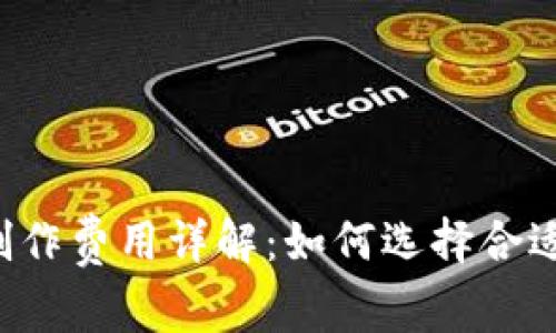 虚拟币钱包制作费用详解：如何选择合适的开发方案?