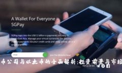 虚拟币公司与以太币的全面解析：投资前景与市