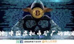 深入探讨：中国虚拟币矿厂的现状与未来