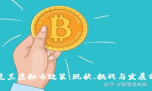 乌克兰虚拟币政策：现状、挑战与发展前景