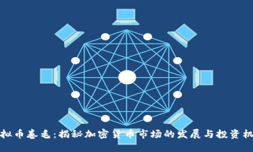 虚拟币卷毛：揭秘加密货币市场的发展与投资机遇