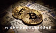 IQT虚拟币：全面解析及投资前景分析