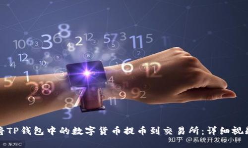如何将TP钱包中的数字货币提币到交易所：详细视频教程