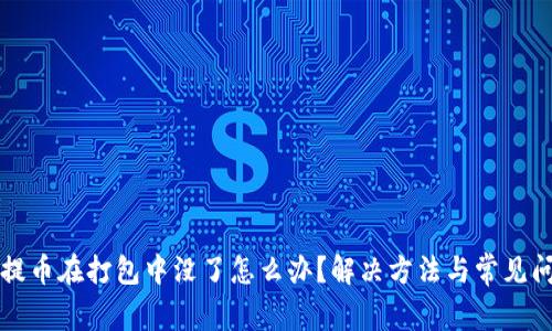 TP钱包提币在打包中没了怎么办？解决方法与常见问题解析