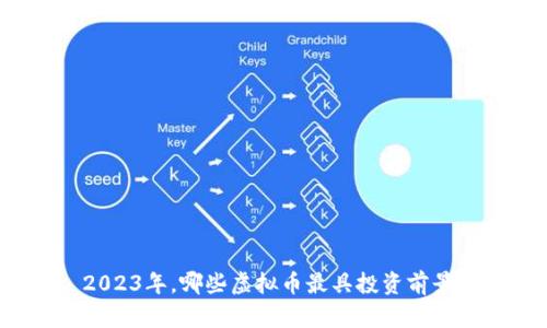 2023年，哪些虚拟币最具投资前景？