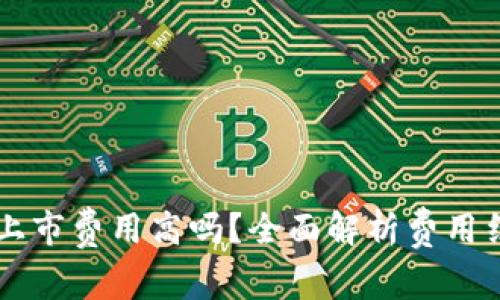 虚拟币交易所上市费用高吗？全面解析费用结构与影响因素