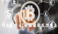 虚拟币钱包是什么？全面解析其作用与安全性