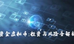 资金虚拟币：投资与风险全解析