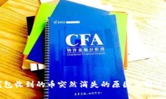 TP钱包收到的币突然消失的原因及解决方法