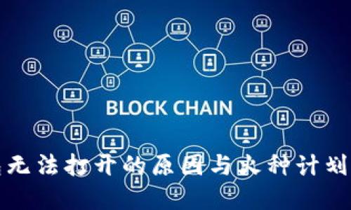 探索TP钱包无法打开的原因与火种计划的解决方案