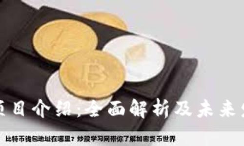 TP钱包项目介绍：全面解析及未来发展趋势