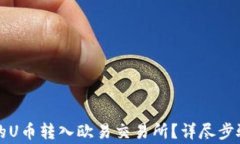 如何将TP钱包中的U币转入欧易交易所？详尽步骤