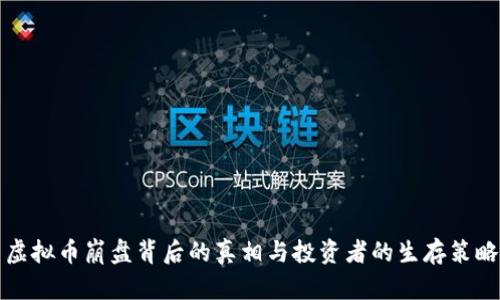 虚拟币崩盘背后的真相与投资者的生存策略