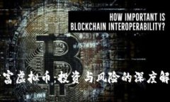 财富虚拟币：投资与风险的深度解析