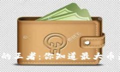 虚拟货币的王者：你知道最大币是什么吗？