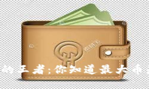 虚拟货币的王者：你知道最大币是什么吗？