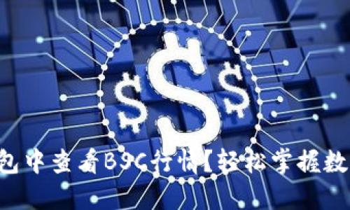 如何在TP钱包中查看BSC行情？轻松掌握数字资产动态！