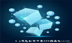   t p钱包如何下载APP指南