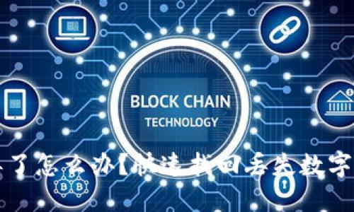 TP钱包币丢了怎么办？快速找回丢失数字资产的方法